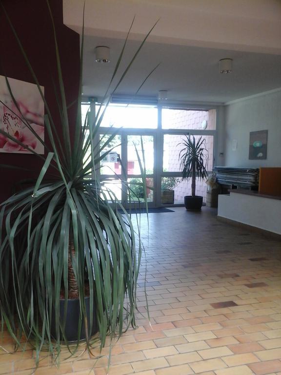 Les Pavillons Du Rooy Lägenhet Salies-de-Béarn Exteriör bild